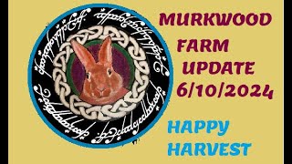 MIRKWOOD FARM UPDATE 6/10/2024 HAPPY HARVEST
