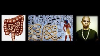 AAPEP: The Waste-Processing Function of the Sacred Serpent in the Underworld
