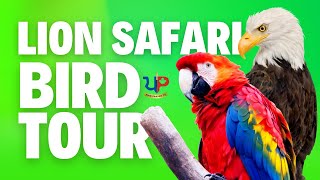 LION SAFARI BIRD TOUR | 2025 Summer Experience | PIND PANJAB TV