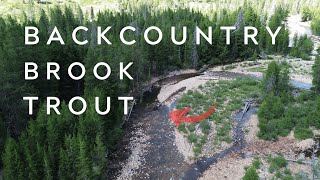 Fly Fishing For Beautiful Backcountry BROOK TROUT