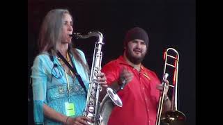Whapweasel - "The Thinted Quiff"  Cropredy 2008