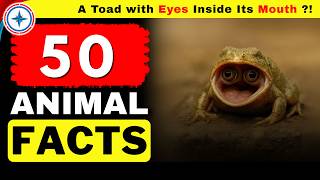 Weird Animal Facts You've Never Heard Before