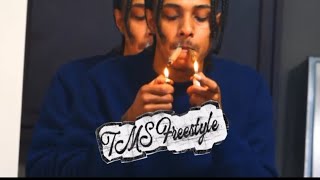 TMS Freestyle - [Official Music Video] - D.E.V (2026)