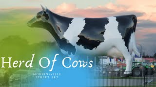 Herd of COWS? MORRINSVILLE STREET ART