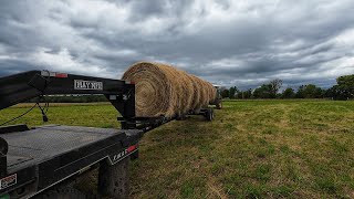 Hay, Bloat, and Catching the Bull!