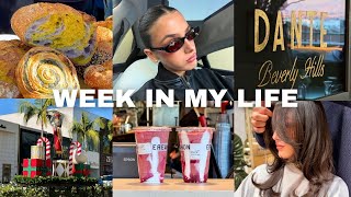 VLOGMAS: haircut & blowout, black friday shopping, beverly hills, thanksgiving in malibu, PR