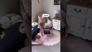 latest viral videos | top viral videos | viral videos today | top 20 best viral videos | trending