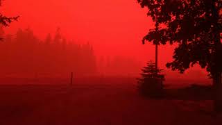 Fireborn Skies (For Oregon)- Colin Hamilton