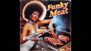 Tanya Zapata - My Meat Curtains