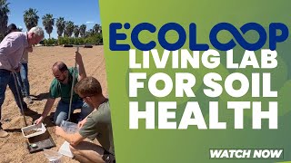 ECOLOOP: Living Lab for Soil Health