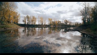 Autumn Lake. Cinematic FPV 4K