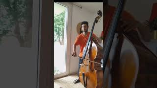 Giovanni Giovannino - Violone Sonata in A minor