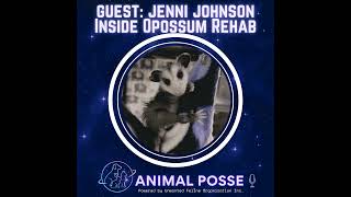 Raising the Wild: Inside Opossum Rehab with Jenni Johnson of Opi•Earth