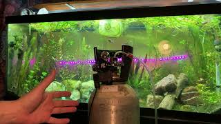 Co2: This Aquarium