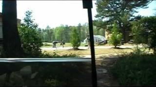 Cary High School Fox 50 Lip Dub 2011 (Created by the CHS Film club)