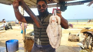 Squid Fish Cutting And Cleaning Skills