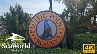 Sea Lions of Pacific Point Preserve | SeaWorld Orlando 2025 4K Wildlife Experience