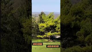 Knockiss - God Is Good