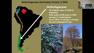 Distinguished Speaker Seminar: Dr. Matthew E. Smith