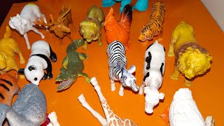 Zoo animals collection , plastic animals toys , zoo animals toys , animals shape and name #live