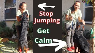 Can't Stop Your Dog From Jumping on People? TRY THIS