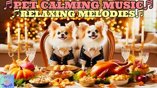 SOOTHING PET MUSIC!💖🐶❤️Relax Your Dogs on 🥧🌽🍠🍗🦃”Thanksgiving!”🦃🍗🍠🌽🥧🎉