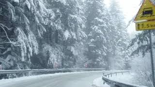 Gdzieś w Beskidach, jedyne w tym sezonie opady śniegowe.