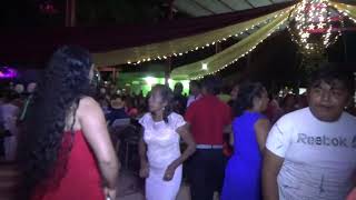 Producciones Oliva en LLanogrande de Juárez,Gro