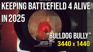 Bulldog bully
