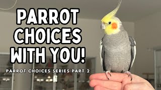 Pet Bird Choices - Giving Your Parrot Options With You | Choices Series Part 2 | TheParrotTeacher