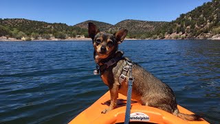 Patches & Yoska: Parker Canyon Lake