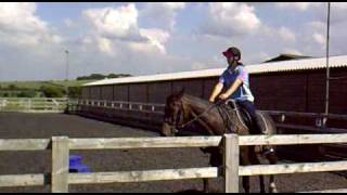 riding my horse, doing some walk to canter