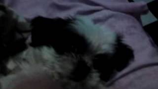 rhoda part 3