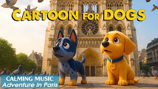 Cartoons for DOGS to Watch: The Best Entertainment for Dogs When Left Alone at Home 🐾 Music for Dogs