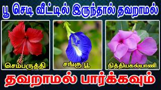 3 Lucky Medicinal Vastu Plants |வீட்டில் இருந்தால் தவறாமல் பார்க்கவும் |  Astrology