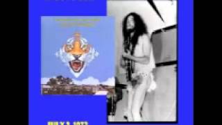 Ted Nugent & The Amboy Dukes - Rot Gut - Live at El Mocambo Club