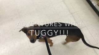 Tuggy at Orchard Supply Hardware