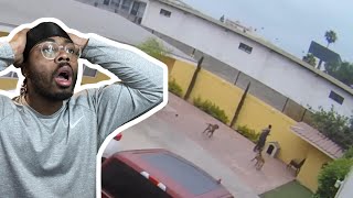 When Criminals Face Instant Karma!