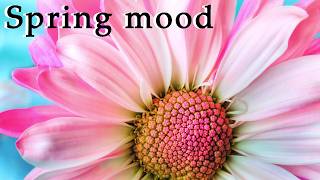 Spring Torch Song 5 / Весеннее настроение 5