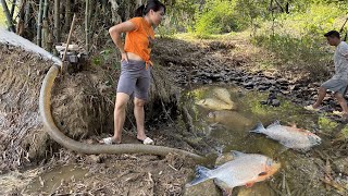 Surprised with so many fish living in the wild lake near the stream - Catch fish, harvesting fish