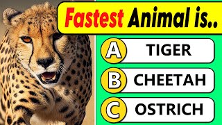 General Knowledge Quiz | Animal Edition 🐾 🐒 🐶