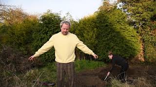 Auld - Plant Music