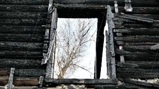 Burnt facade of a wooden house with a window opening showing a bare tree and sky