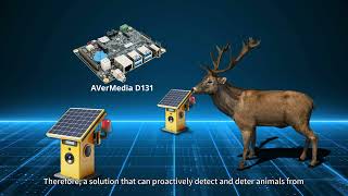 Guarding Roads, Protecting Wildlife Advanced AI for a Safer Way Home by AVerMedia D131 Carrier Board