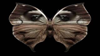 Lane 8 Fingerprint (Original Mix)