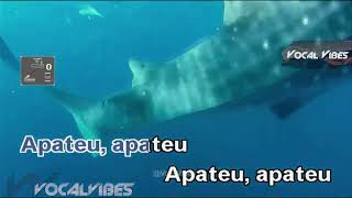 Apt -Rose & Burno Mars| Platinum Karaoke Reyna 4 Midi Version