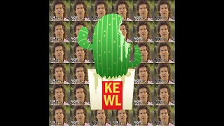 Hash and Cactus Rant About the 2020 WON Awards