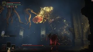 Ulcerated Tree Spirit - Full Fringefolk Hero's Grave Gauntlet + Boss Fight - Elden Ring