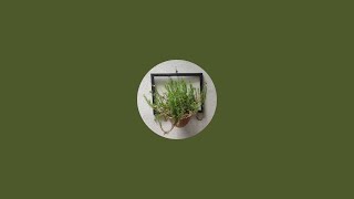 GREEN PARADISE  is live
