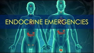 Endocrine Emergencies - Diabetes